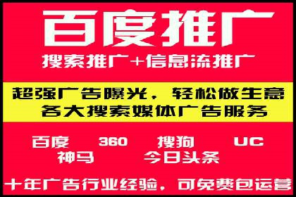 百度推广排名案例报告：某行业巨头如何运用其占领市场高地